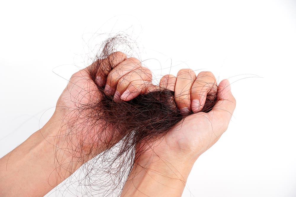 hair loss problem women hands isolated white background
